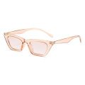 2020 No MOQ Tiny Vintage Trendy Cateye Fashion Sunglasses